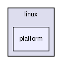 src/platform/linux/platform