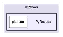 src/platform/windows/PyRosetta